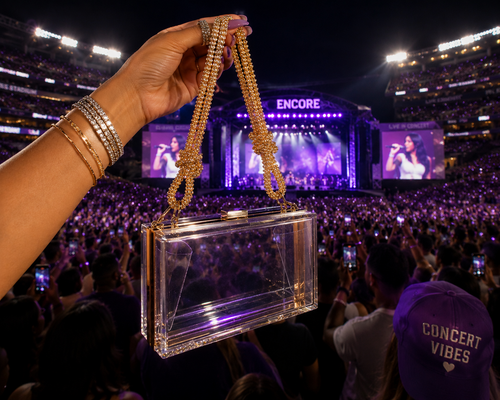 Concert/Gameday Stadium-Approved Clear Crossbody Bag